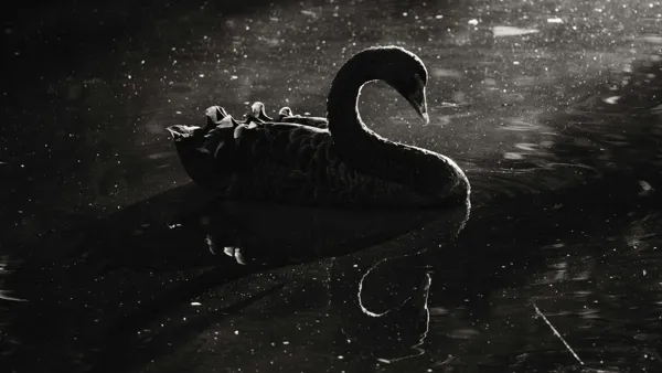 Nachrichten Teaser Bild