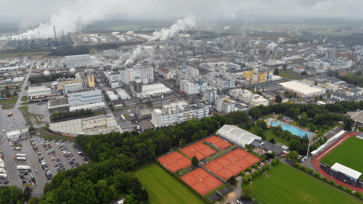 Noch kein Turnaround in Sicht - Wacker-Chemie: Dividende gestrichen! Aber die Aktie steigt trotzdem