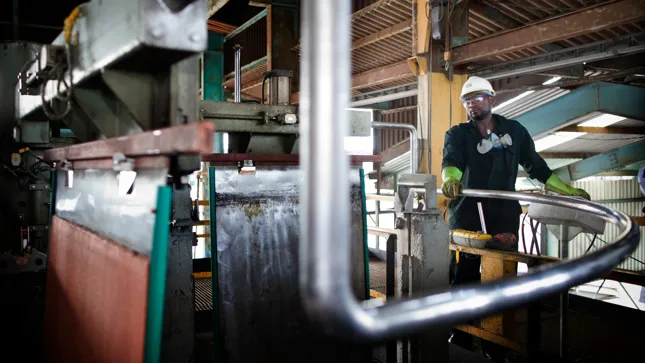 Kupferboom-Die-erfolgreichste-W-hrung-der-Welt-und-was-Kupfer-damit-zu-tun-hat