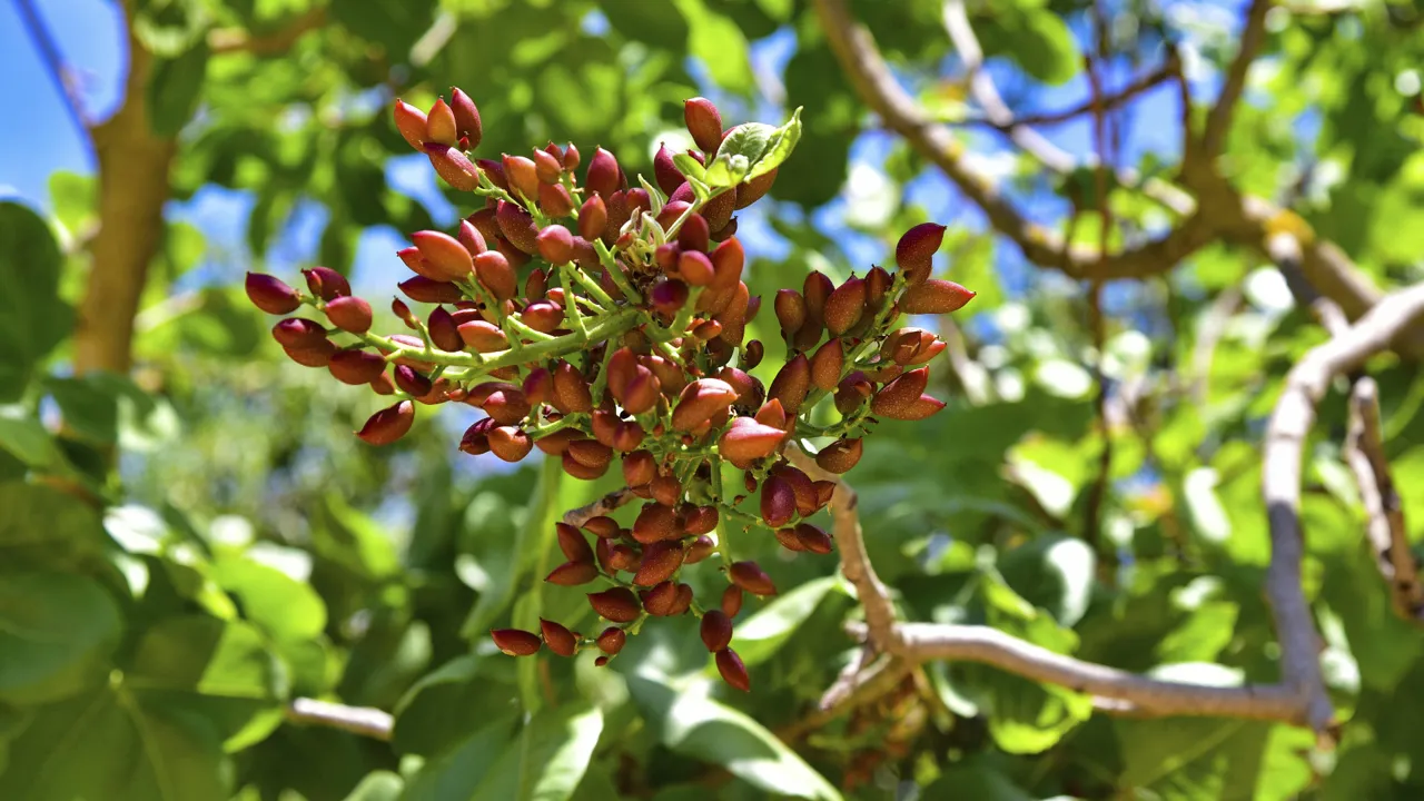 Wallstreet Online News