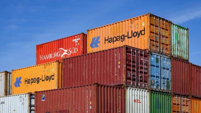 Euro at Record High: European Companies Face Profit Shrinkage, Growing Concerns