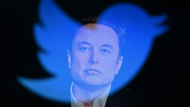 Elon Musk Annonce Le Nouveau Pdg De Twitter Ce Que Cela Signifie Pour Les Actionnaires De 5010