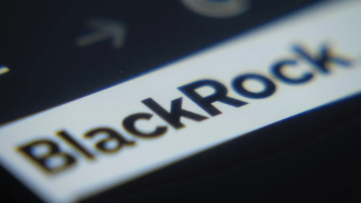 Nicht China - BlackRock setzt plötzlich auf diesen Aktienmarkt in Asien – Das ist der Grund!