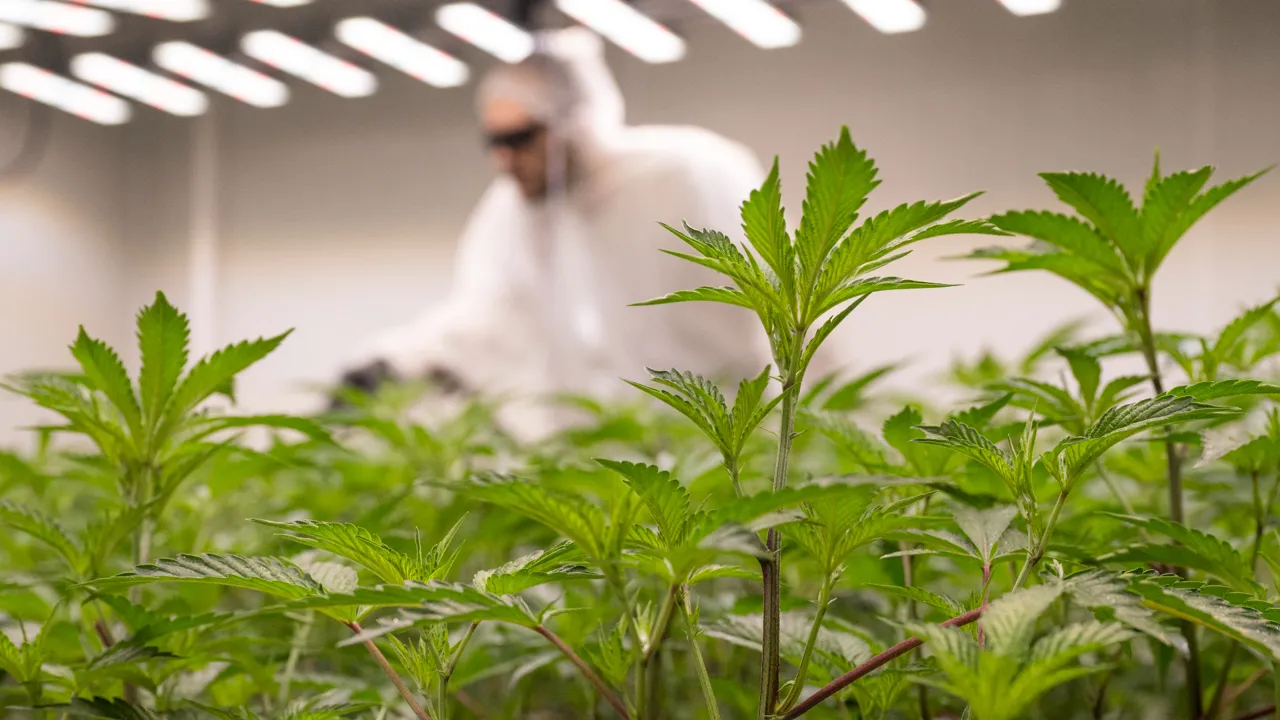 Wallstreet Online News