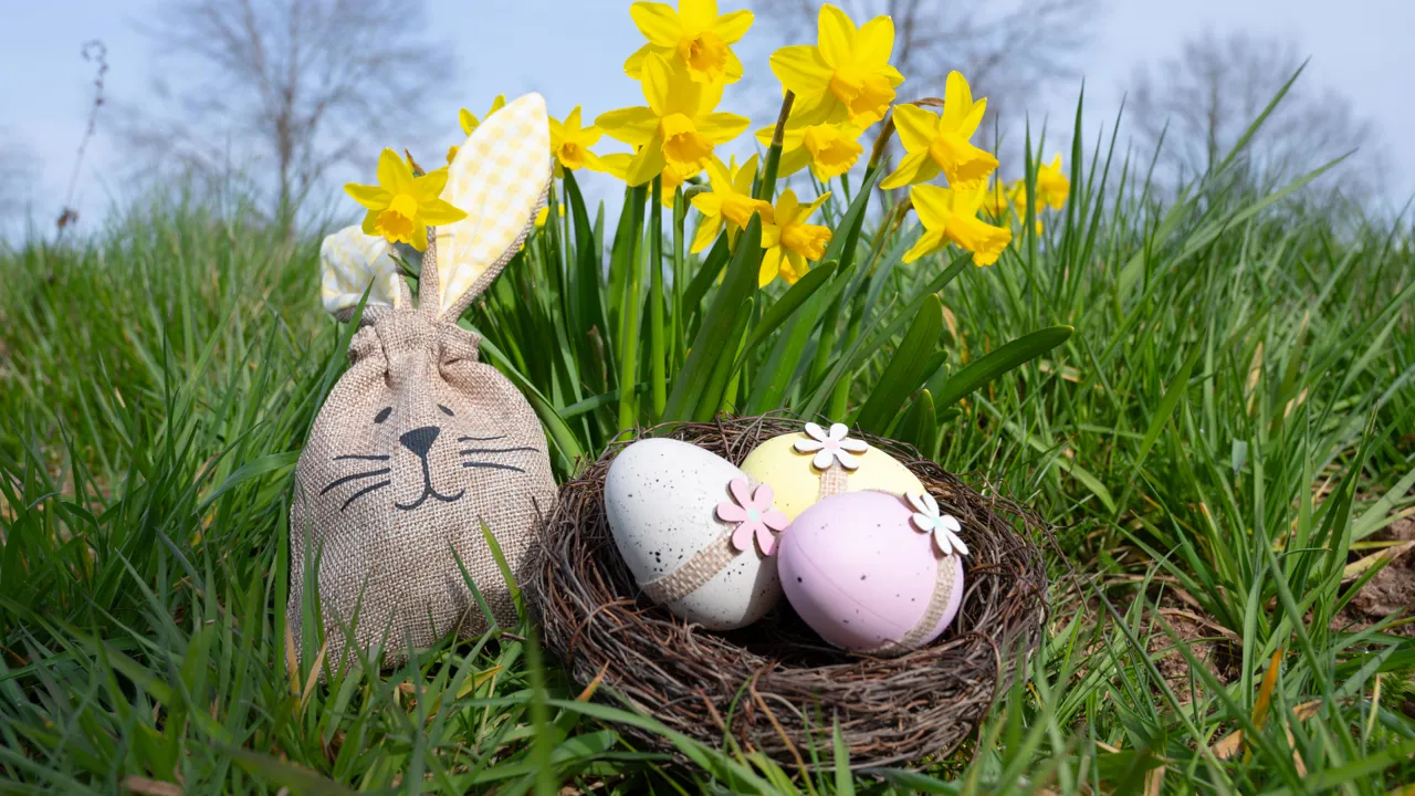 Wallstreet Online News