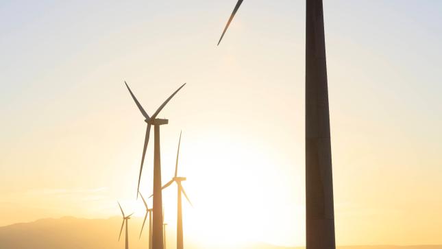 -quot-F-rs-Geld-nicht-f-r-Umwelt-quot-Kanadischer-Pensionsfonds-verdoppelt-Investitionen-in-gr-ne-Projekte