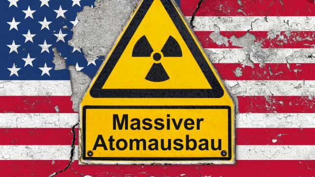 US-Energiepolitik-im-Wandel-Trumps-Atomkraft-Offensive-Goldman-Sachs-sieht-zwei-klare-Profiteure