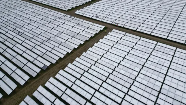 KI-Stromhunger-Gr-ne-Aktien-gehen-steil-l-Aktien-wackeln-Was-ist-da-denn-schon-wieder-los-