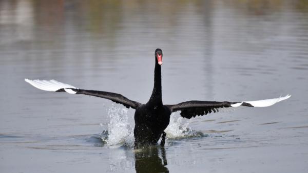 Nachrichten Teaser Bild