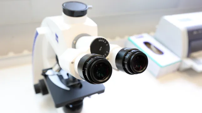 Technologief-hrer-aus-dem-SDAX-Die-Aktie-dieses-Hidden-Champion-k-nnte-jetzt-vor-einem-Comeback-stehen-