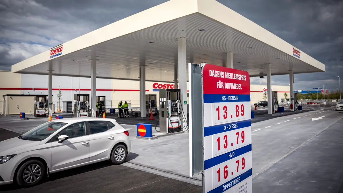 13 % Erhöhung - Rekorddividende bei Costco – doch ein Faktor sticht alles aus