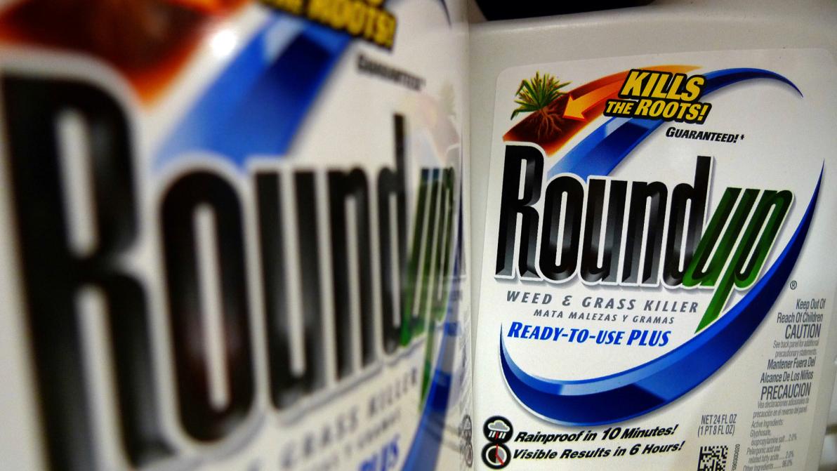 Aktie steigt - Aus die Maus für Monsanto? Bayer prüft Chapter-11-Insolvenz!