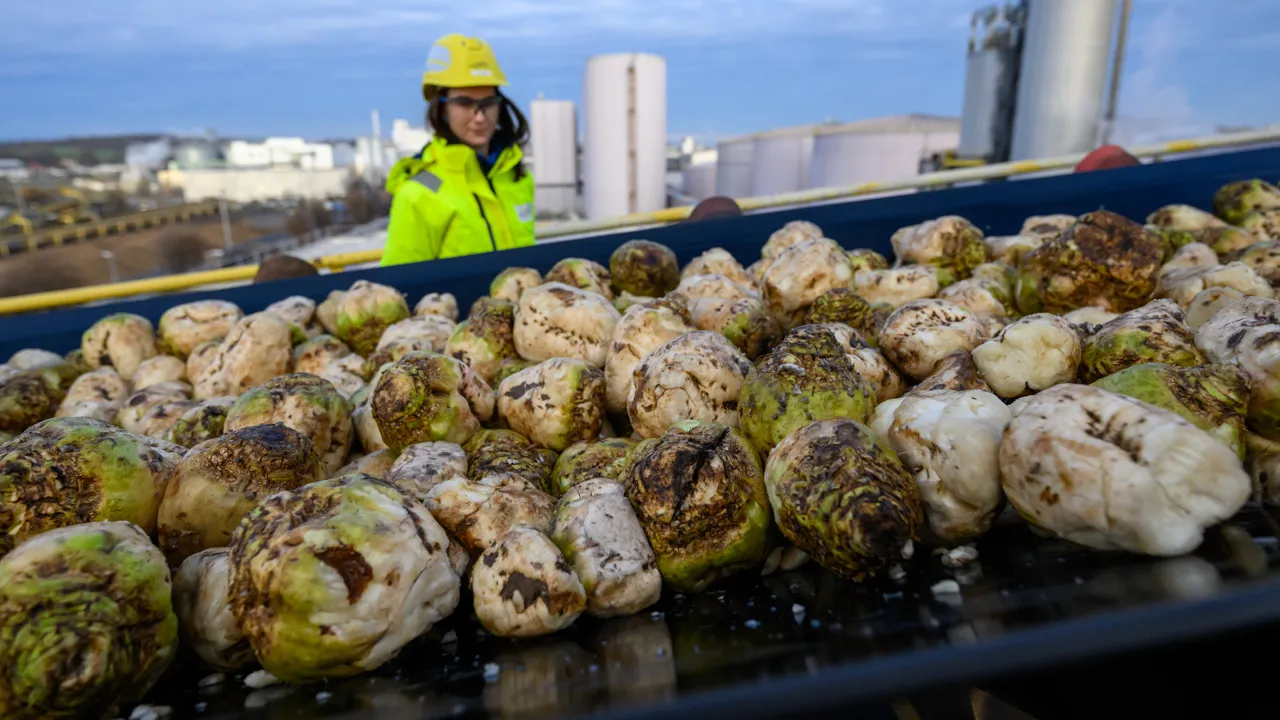 Wallstreet Online News