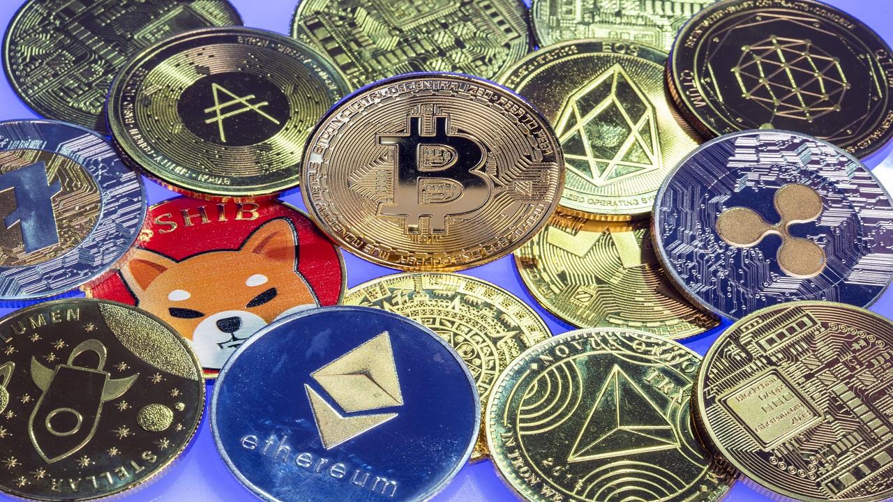 Promis und Krypto: Wie Prominente mit Meme-Coins mehr Schaden als Nutzen anrichten