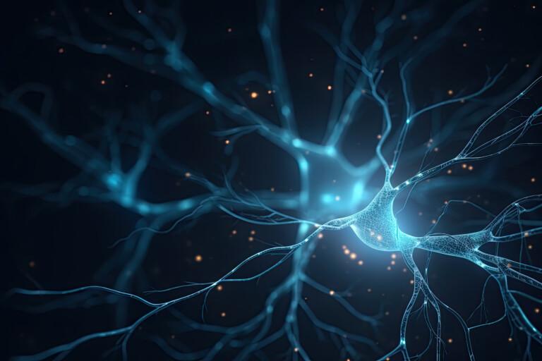 NurExone unter den Finalisten: Mit Exosomen-Therapie ins Zentrum der Wissenschaftselite