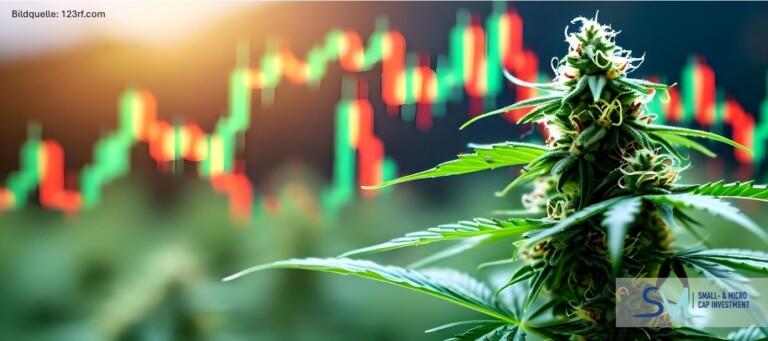 Neural Therapeutics: Zwei neue Standorte treiben Wachstum von Hanf.com voran