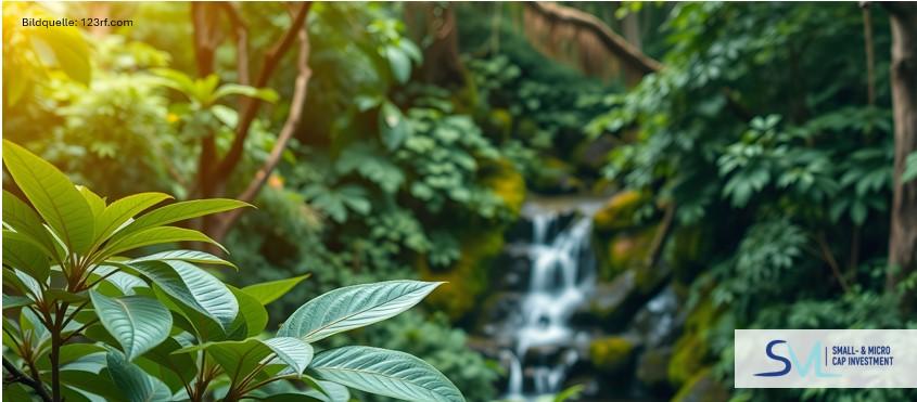 Trump reguliert Cannabis-Markt neu – Hidden Champions Bioxyne, GrowGeneration und Emerald erblühen?