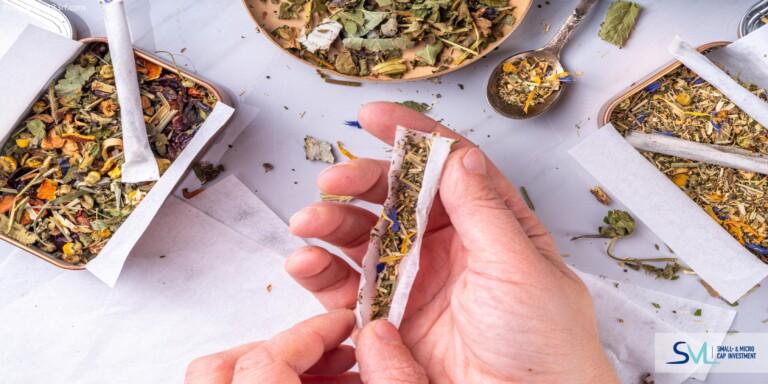 Bioxyne hebt EBITDA-Prognose an, BB Biotech stark – Biotech-Sektor mit Rückenwind 