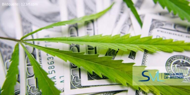 Die Renaissance der Psychedelika-Aktien: Bioxyne Limited im Sog des 20-Prozent-Sektorbooms