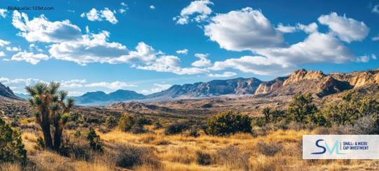 Nevada im Fokus: Sienna Resources bereitet ersten Bohrstart auf Goldprojekt vor 