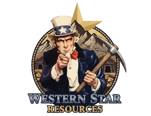 logo wsr