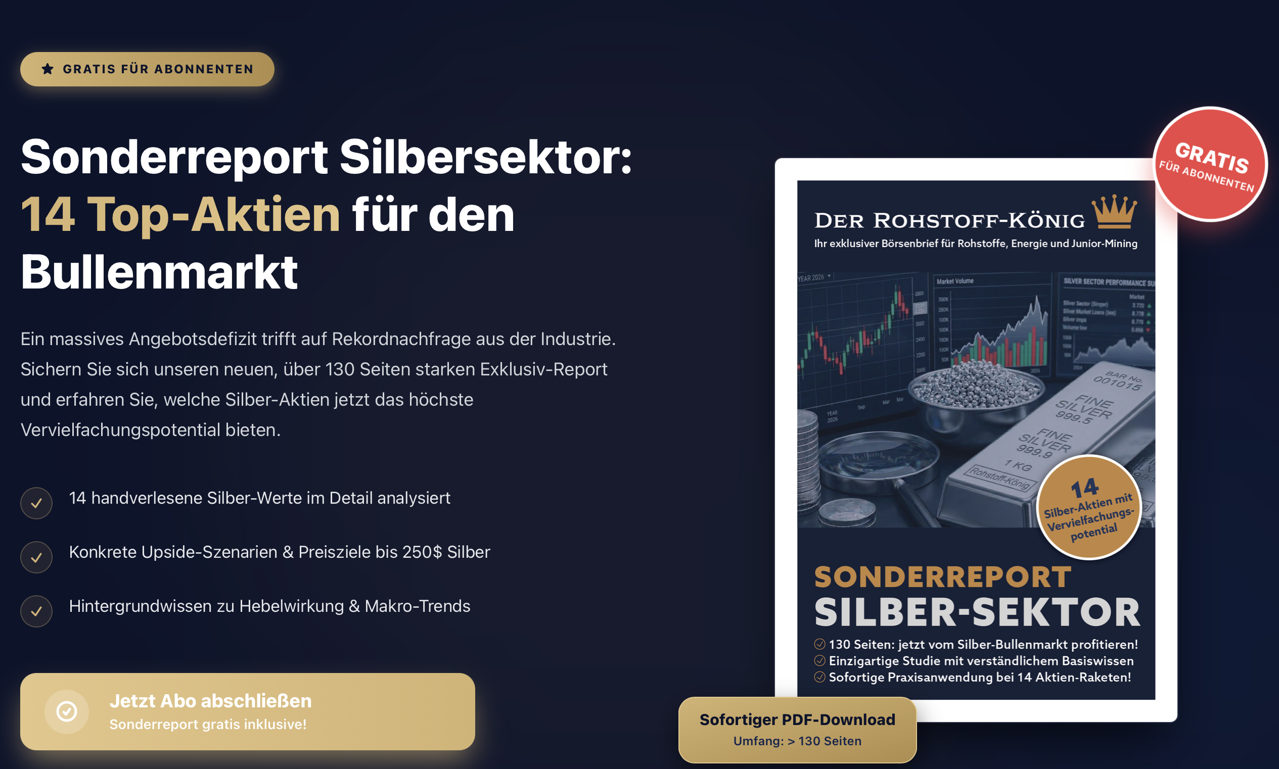 Silber-Report