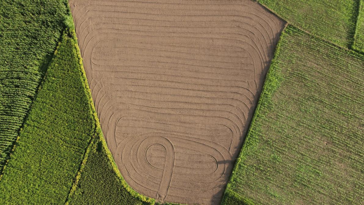 Bis zu 15% mit Landwirtschaft: Cashflow aus krisenfesten Sachwerten