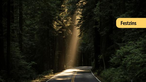 Nachrichten Teaser Bild