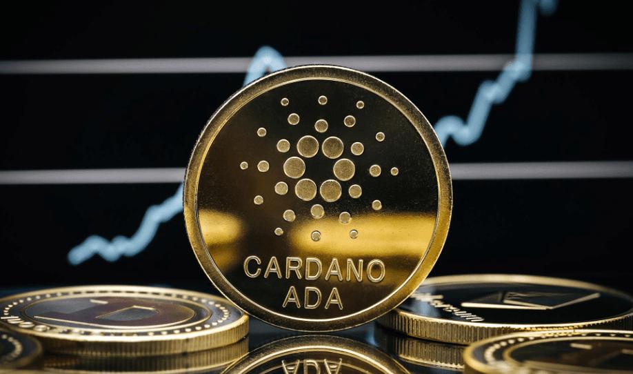 Cardano Kurs steht bei 0,25 Dollar, Warum Wale trotzdem Millionen ADA kaufen