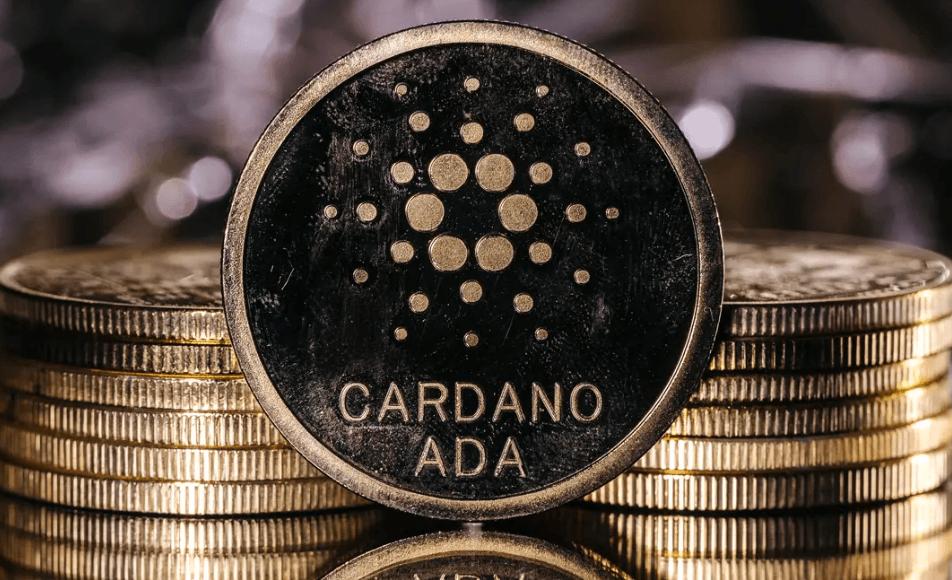 Cardano Prognose im Fokus, weil Wale jetzt 67 Prozent aller ADA halten, ein Funfjahreshoch