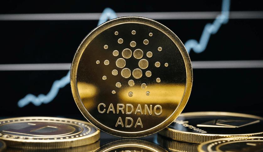 Cardano Kurs verliert 94 Prozent vom Höchststand, doch die Wale kaufen in der Panik weiter