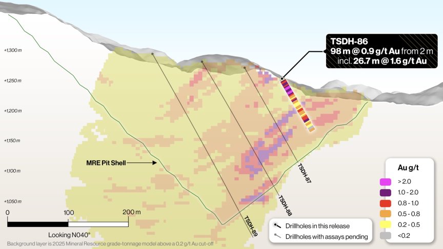 TigerGold_Tesorito_CrossSection_086.jpg