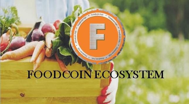 FoodCoin: Der Weg zu einem nachhaltigen Lebensmittelhandel