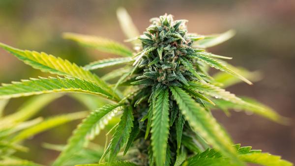 Nachrichten Teaser Bild