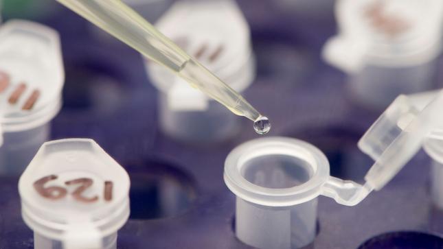 Neues-Kursziel-400-Prozent-Potenzial-Diese-Biotech-Aktie-geht-jetzt-steil-