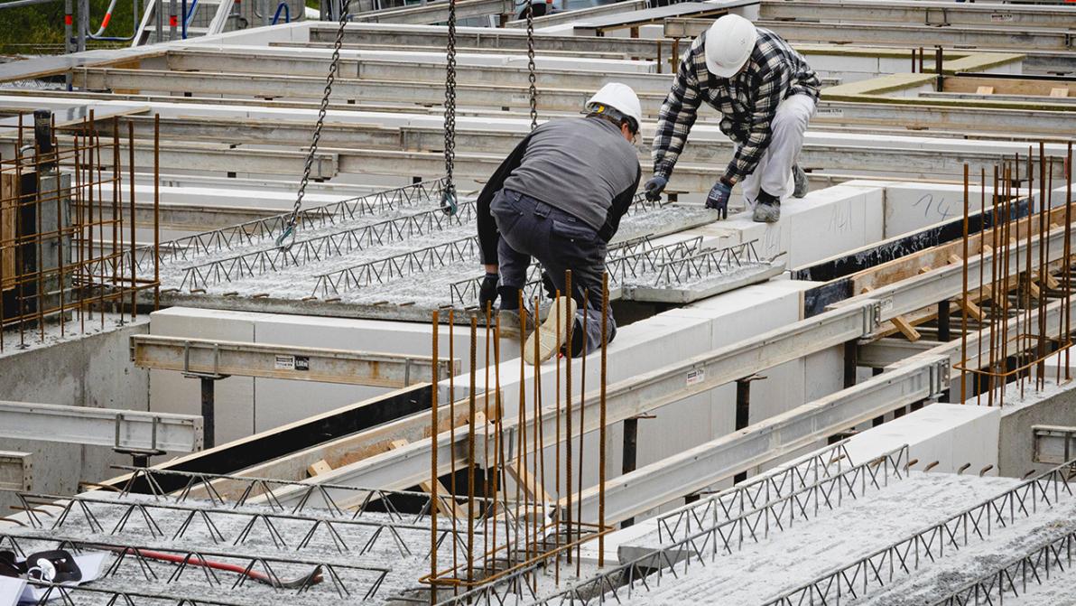 STEICO SE: Starke Ergebnisse 9M 2025 trotz Marktverlangsamung