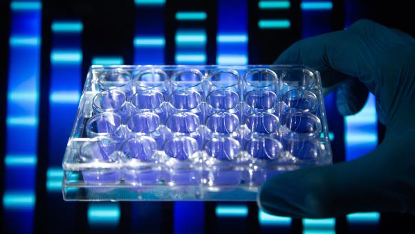 Nachrichten Teaser Bild