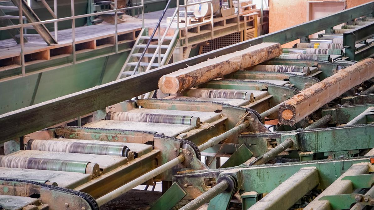 Delignit AG Boosts FY 2025 Outlook, Anticipates €5M EBITDA Surge