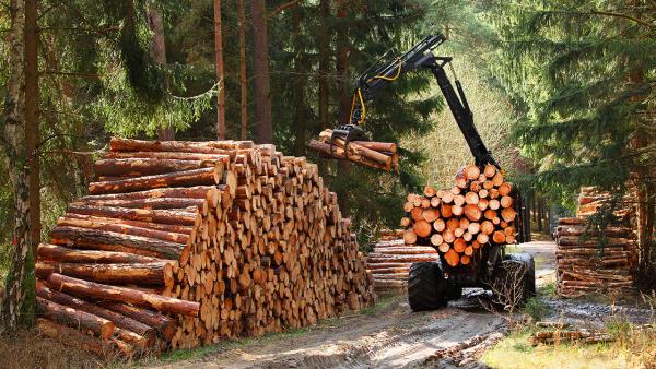 Nachrichten Teaser Bild