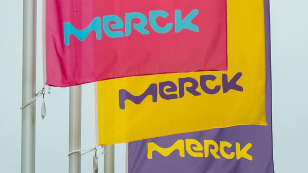 Nachrichten Teaser Bild