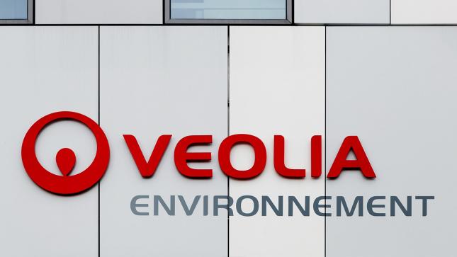 Veolia Environnement: Information Relating to the Total Number of Voting Rights Forming the Share Capital