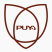 Logo Puya Semiconductor (Shanghai) Ltd. Registered (A)