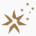 Logo Southern Cross Gold Consolidated
