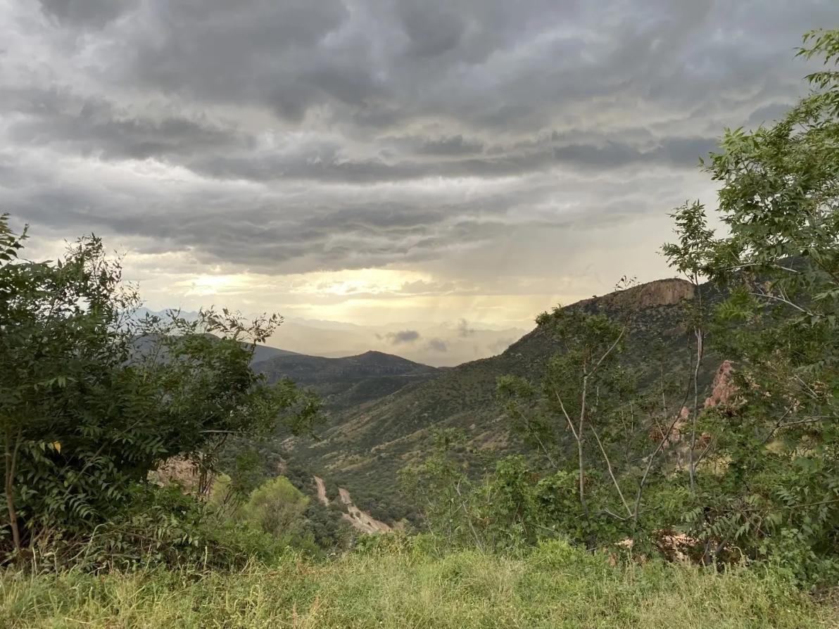 Alle Genehmigungen erhalten - Silver Tiger zündet jetzt den Turbo!