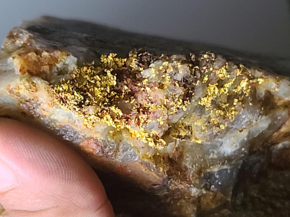 Überzeugende Proben - Sranan Gold meldet bis zu 26,7 g/t Gold vom Tapanahony-Projekt in Suriname!