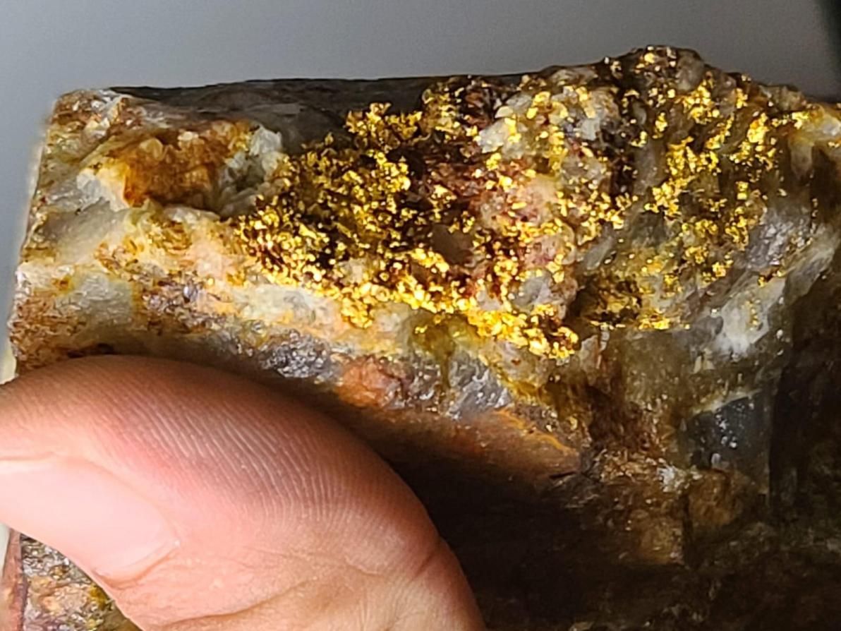 Goldinvest.de - Goliath Resources - Bis zu 37,45 g/t Gold in hochgradiger Bonanza-Zone!
