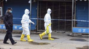 Bildergebnis für neuartigen Coronavirus (2019-nCoV) türkisch burger auf ger